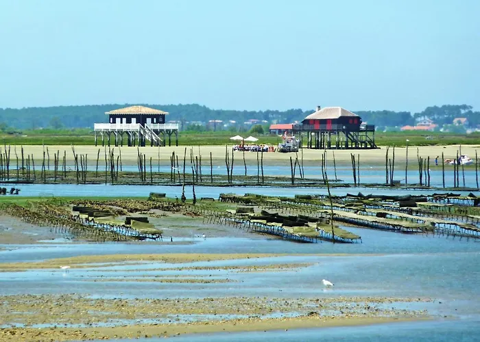 Sun By Interhome Daire